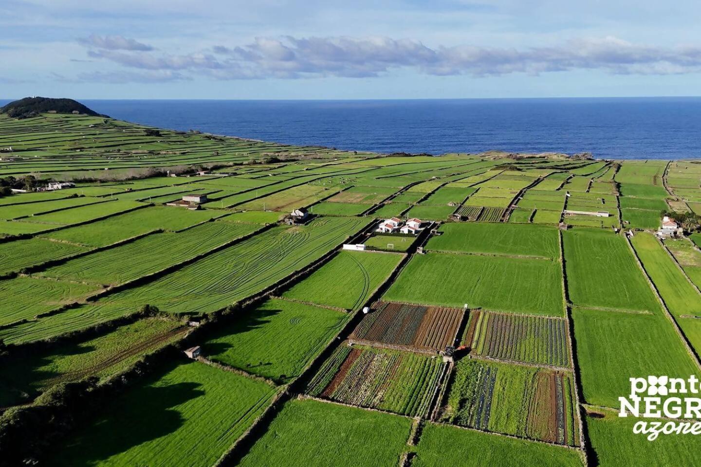 Wine House By Ponta Negra Azores Altares Bagian luar foto